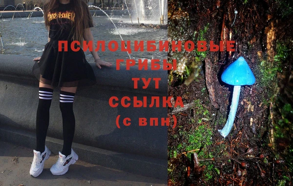 дурь Кукмор