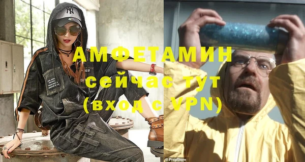 шишки Михайловск
