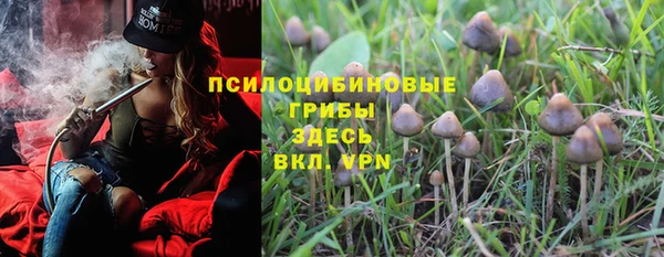 дурь Кукмор