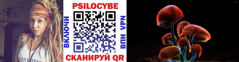 сколько стоит  Кубинка  Галлюциногенные грибы Psilocybine cubensis 