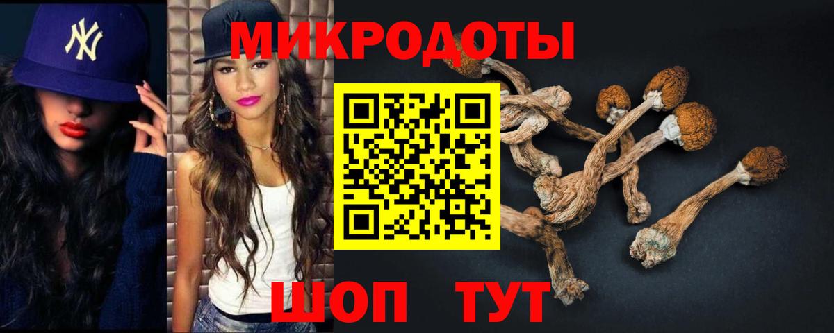 Псилоцибиновые грибы GOLDEN TEACHER  Вход с VPN  Кубинка 